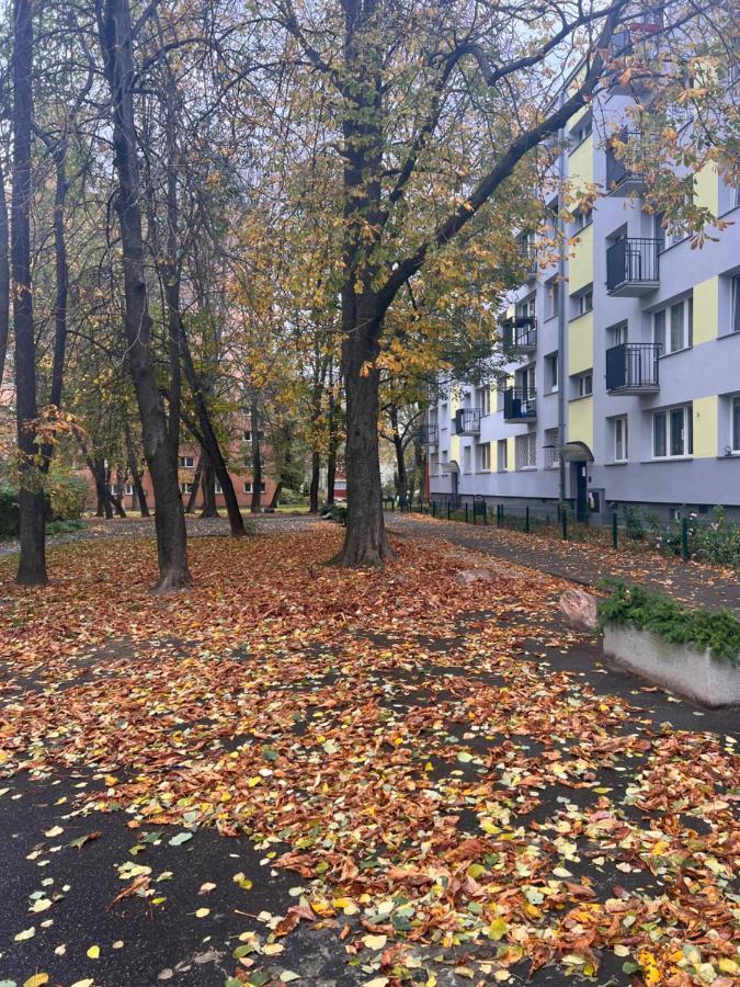 Yellow Apartment Airport Galeria Mokotow Netflix Varsavia Esterno foto